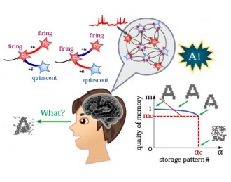 enaoyagi_neuro