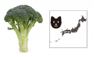 broccolidog